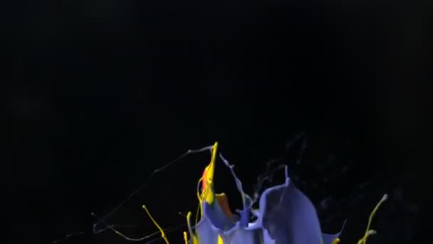 Peinture éclaboussure dans l'air 