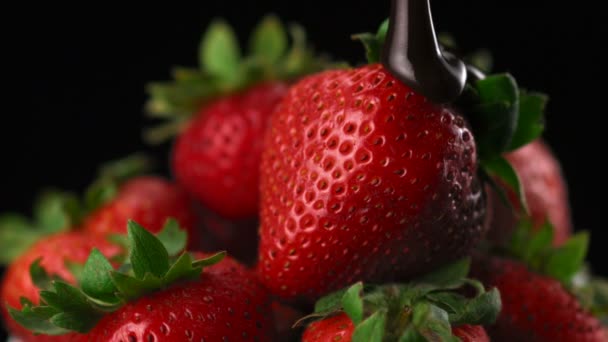 Schokoladensoße auf Erdbeere — Stockvideo