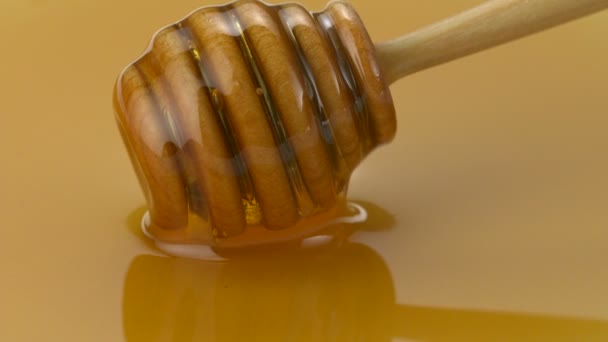 Llovizna de miel — Vídeo de stock