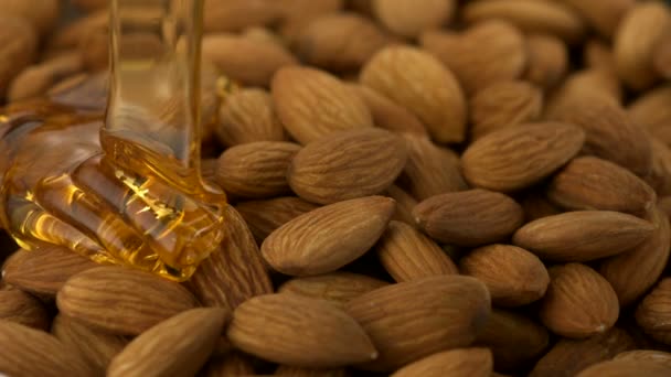 Honey on almond and nuts — Stock Video