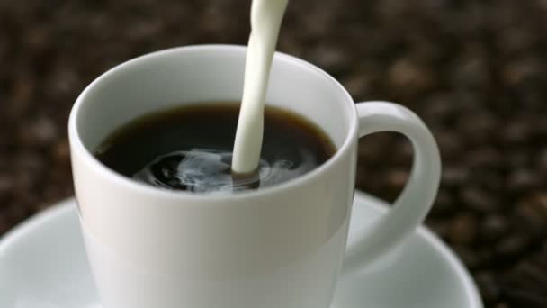 Verter leche en el café — Vídeos de Stock