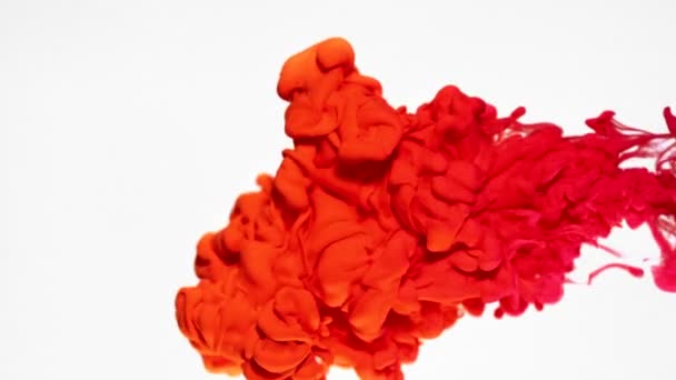 Encre rouge dans l'eau — Video