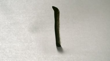 Kağıt üzerinde fırça boyama