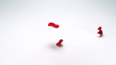 Düşen kırmızı gül yaprakları