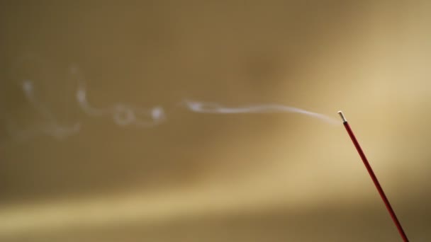 Smoking incense on light background — Stock Video