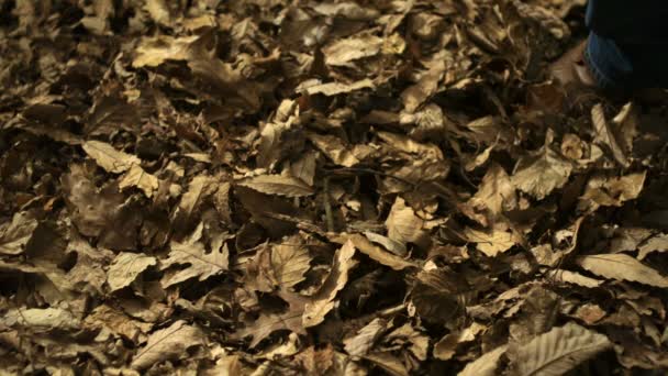 Kicking piles of dried leaves — Stock Video