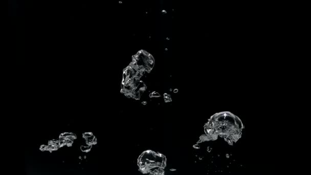 Vattenbubblor stiger — Stockvideo