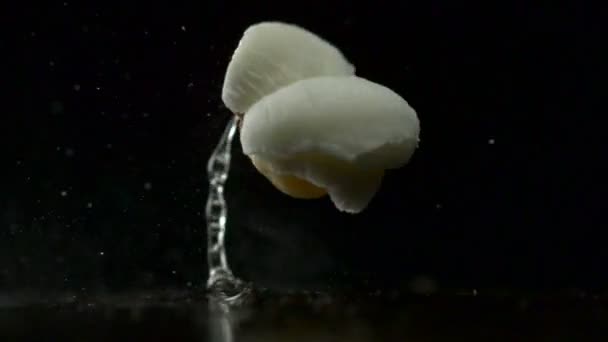 Popcorn knallen auf schwarzem Hintergrund — Stockvideo