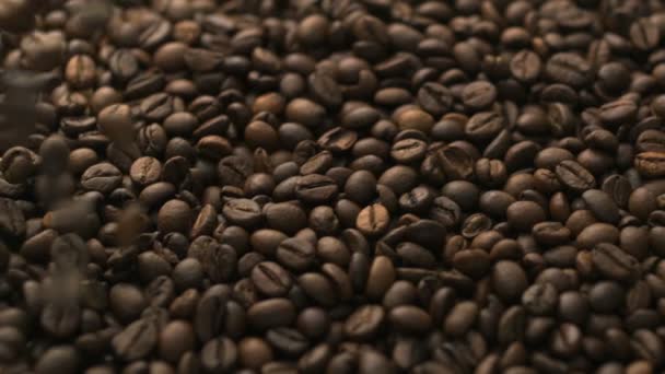 Full of coffee beans — Stock Video