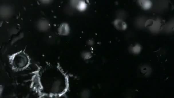 Goutte de pluie sur noir — Video