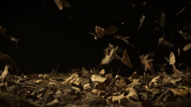 Dropping pile of dried leaves — Stock Video