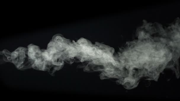 Fumée sur fond noir — Video