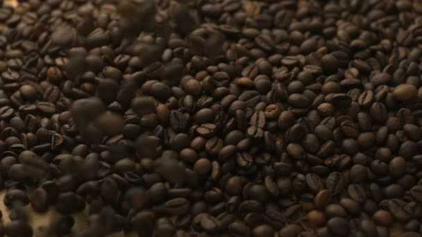 Voller Kaffeebohnen — Stockvideo