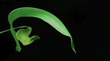 Havadaki canlı sıvı sıçrama