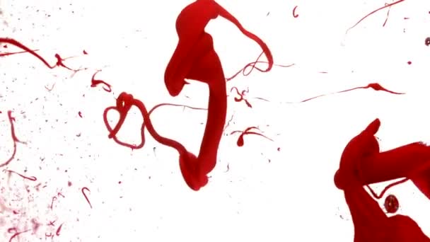 Deixando cair tinta vermelha na água — Vídeo de Stock