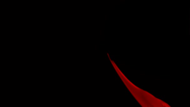 Red fabric flowing in the air — Stock Video