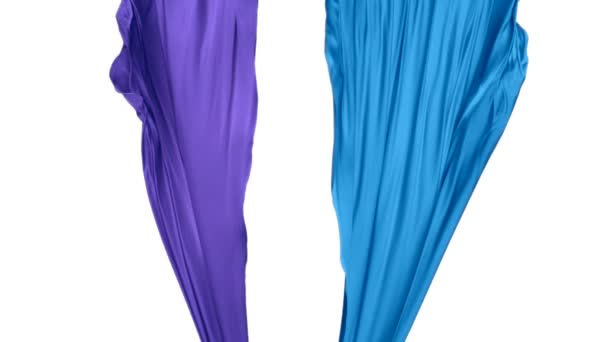 Niebieski i fioletowy tkaniny płynące w powietrzu — Wideo stockowe