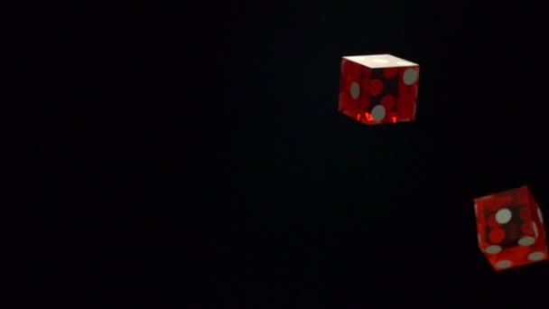 骰子落在黑色的背景上 — 图库视频影像