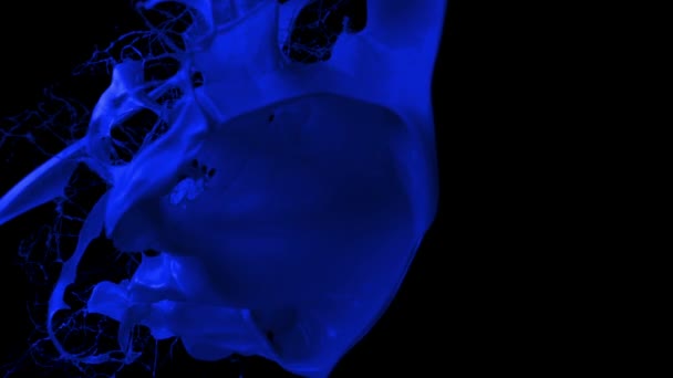 éclaboussures liquides vives dans l'air 