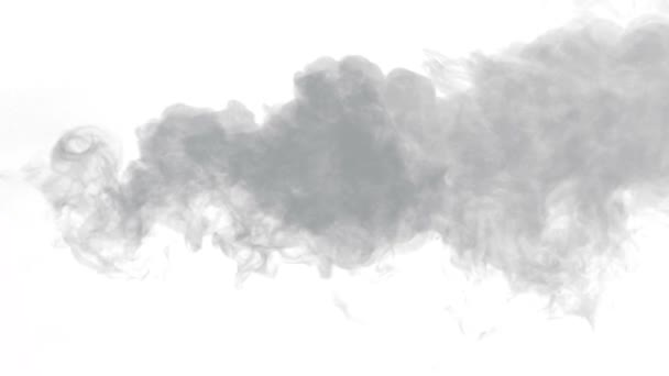 水蒸汽在白色背景上 — 图库视频影像