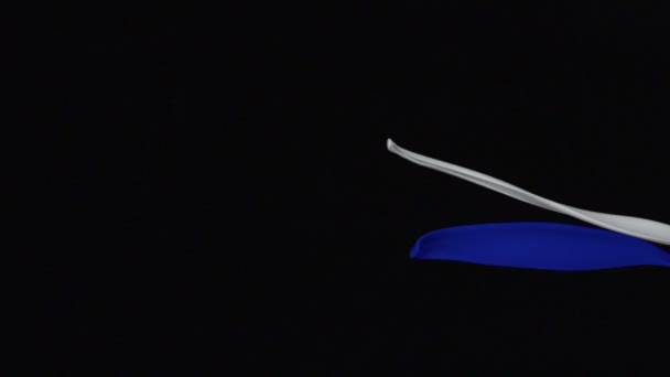 éclaboussures liquides sur fond noir 