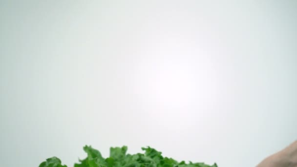 Woman washing lettuce in sieve — Stock Video