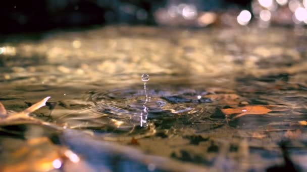 Gota de agua haciendo ondulación en arroyo — Vídeos de Stock