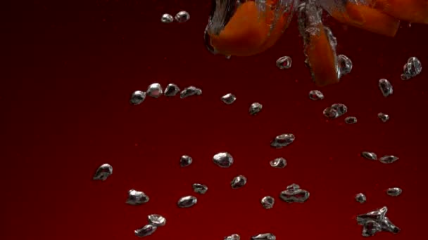Kawałki marchewki wchodzących w wodzie — Wideo stockowe