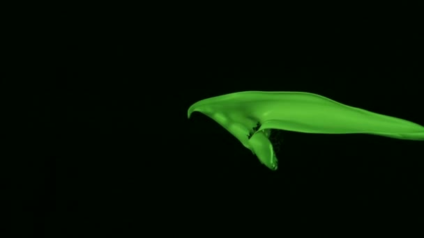 éclaboussures liquides sur fond noir 