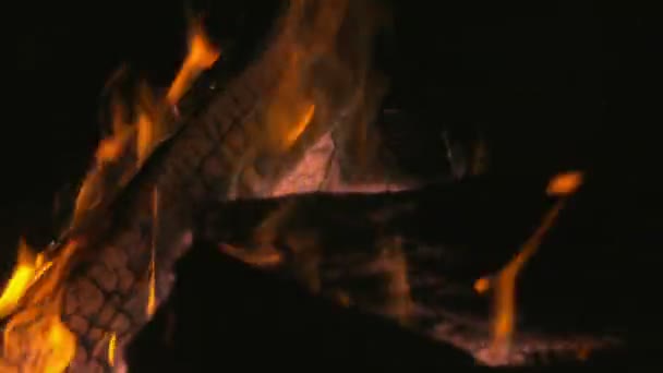 Holzscheite in Feuerstelle verbrennen — Stockvideo