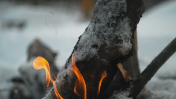 Burning log in fire pit — Stok Video