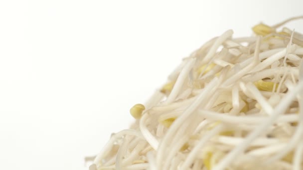 Bean sprouts falling — Stock Video