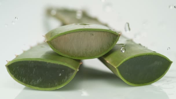 Water splashing on aloe — Stock Video