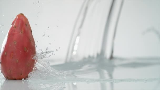 Water splashing on prickly pear — Stock Video