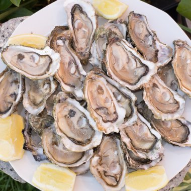 Buz ve limon bir masa üzerine beyaz bir tabak içinde taze istiridye