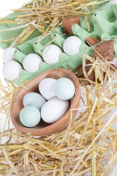 Ägg på vit bakgrund med halm grönt och vitt — Stockfoto