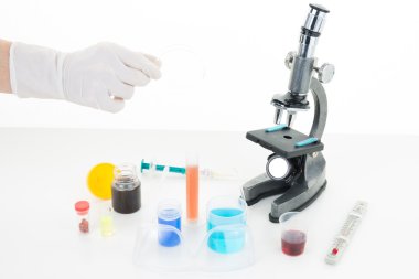 Örnekleri inceleyerek bir mikroskop ile bilim adamı el
