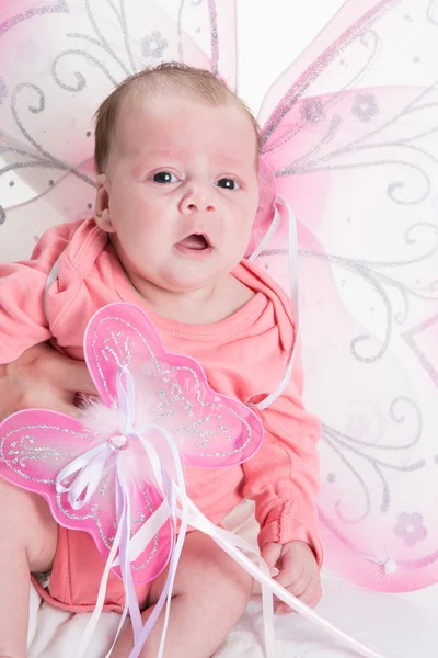 Egy két hónapos baba elszigetelt fehér portréja — Stock Fotó