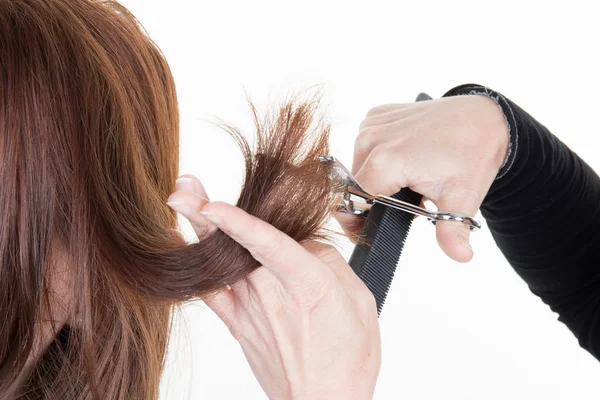 Cortar el cabello en un salón de belleza - chica morena — Foto de Stock