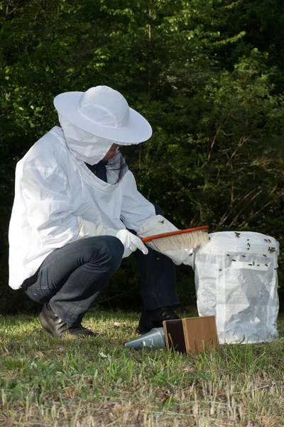 Мужские пчеловоды проверяют все детали на пасеке . — стоковое фото