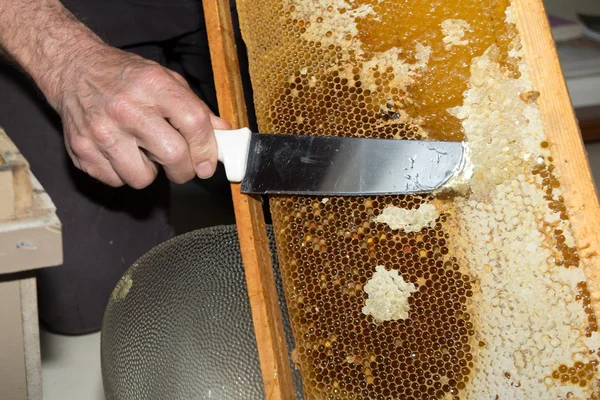 Пчеловод вытащил пчел из сотовых сотов. — стоковое фото