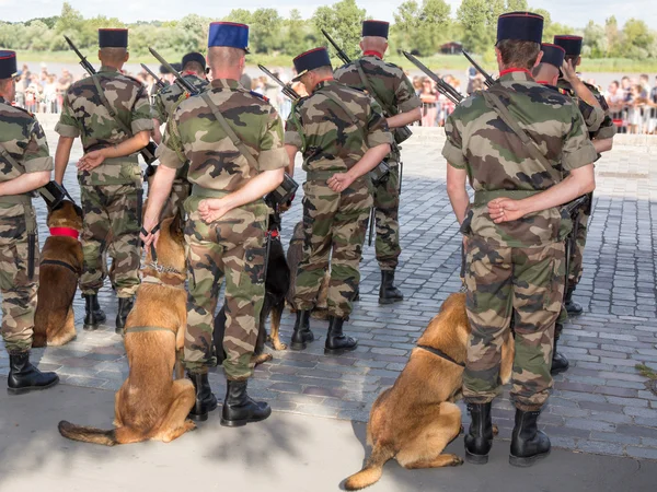 犬と彼女の基地から兵士 — ストック写真