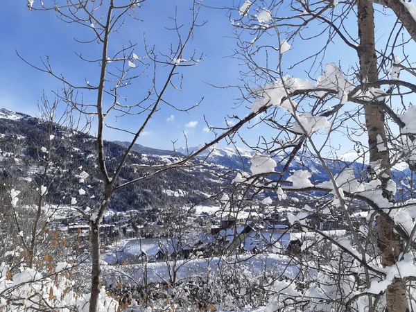 冬の青空と山の木々の雪 — ストック写真