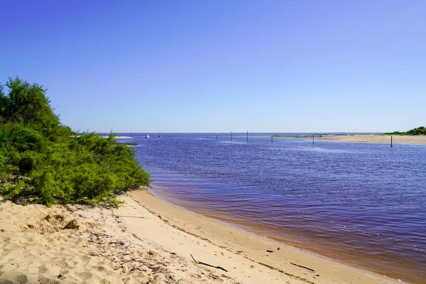 フランスのラカナウ湖に青い水のある天然の砂浜 — ストック写真