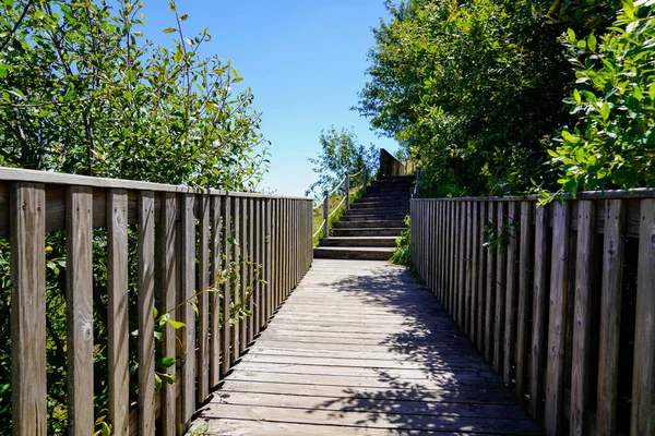 Drewniany Deptak Dla Pieszych Ścieżka Most Iść Puy Kopuła Francuskie — Zdjęcie stockowe