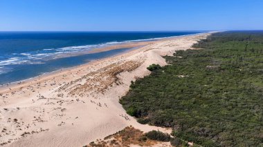 La Tremblade 'deki deniz feneri La Coubre Charente Denizcilik Fransa' sında okyanus manzaralı