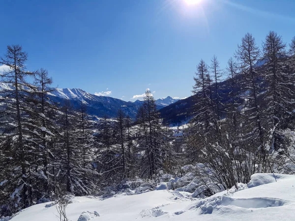 自然の山と白い雪景色の冬の青空と太陽の森の松の木 — ストック写真