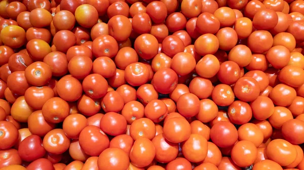 Πολλές Κόκκινες Ντομάτες Στην Αγορά Βιολογικών Τροφίμων Για Φυσικό Υπόβαθρο — Φωτογραφία Αρχείου