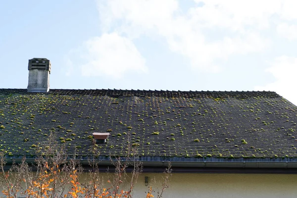 moss roof of slate tiles dirty foam on house old
