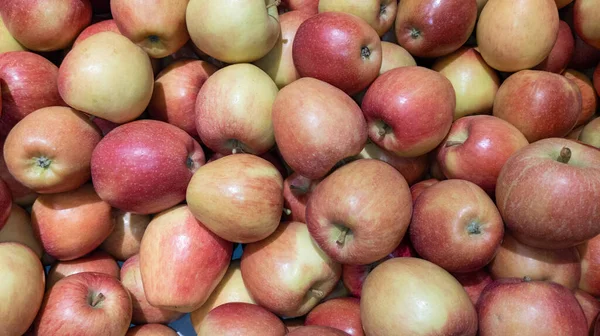 Red Apples Many Ripe Juicy Pile Fresh Apple Fruits Background — Stock Photo, Image